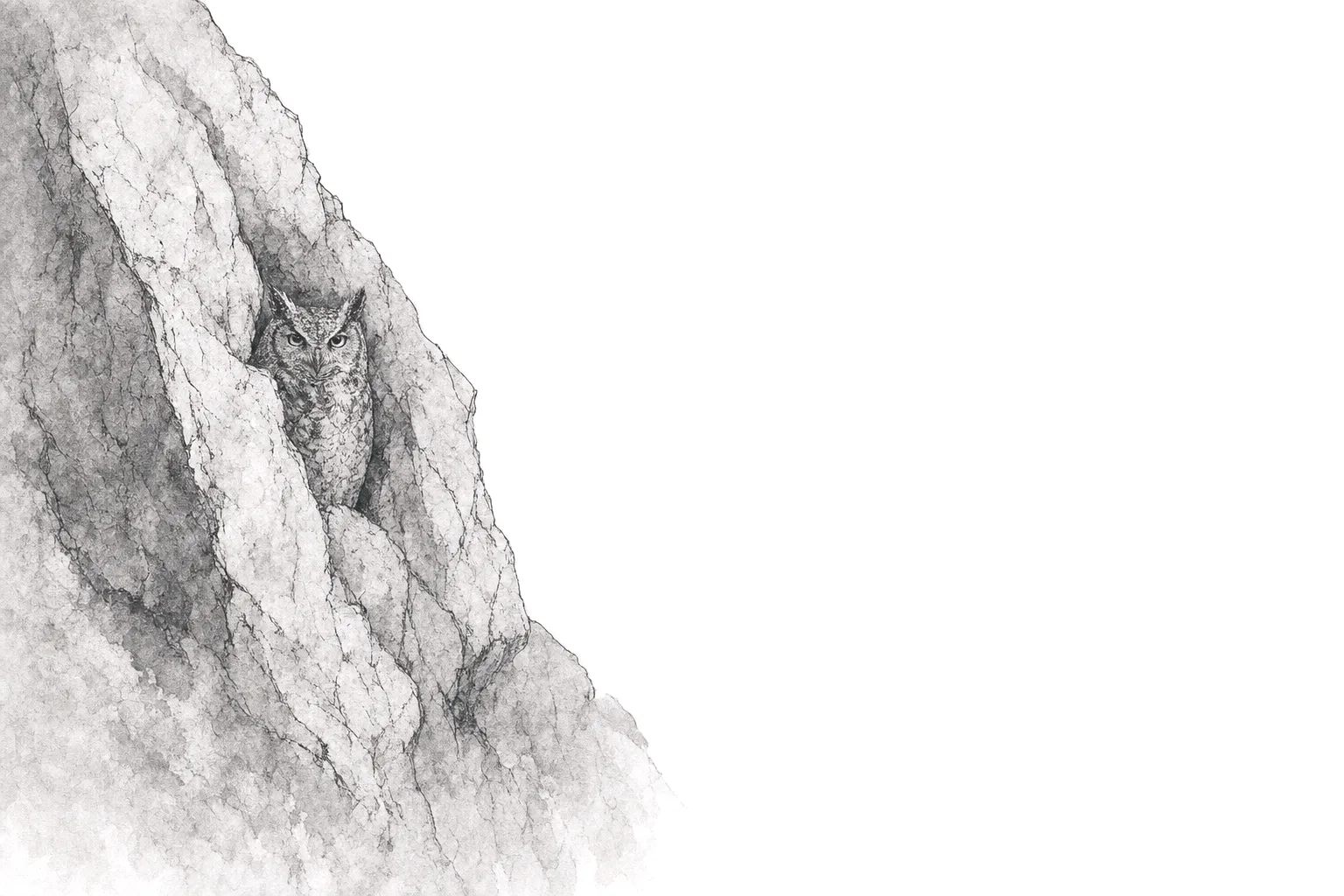 Ink illustration of an owl nearly hidden in a rocky cliff face